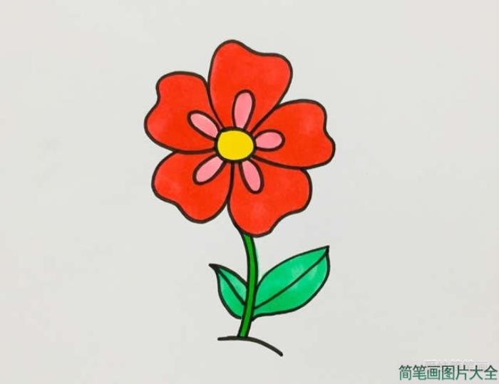 五瓣花简笔画  第4张