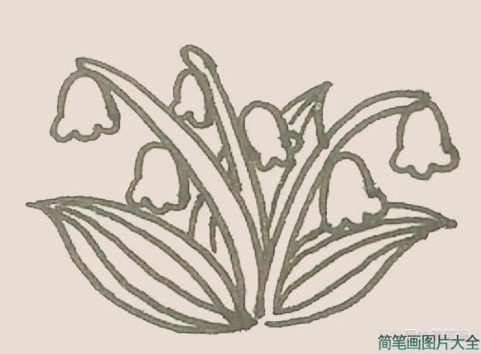 铃兰花简笔画  第6张