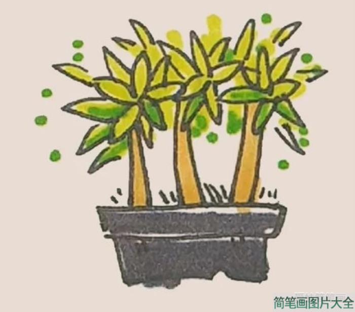 盆栽简笔画  第5张