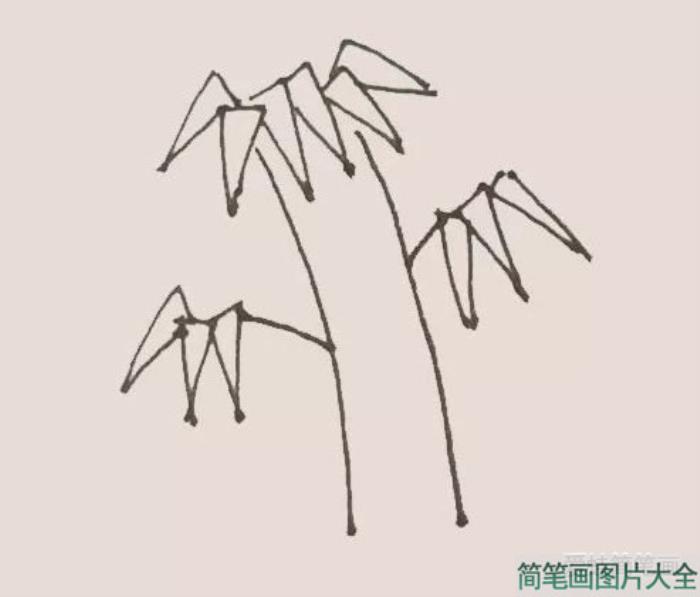 竹子简笔画  第3张