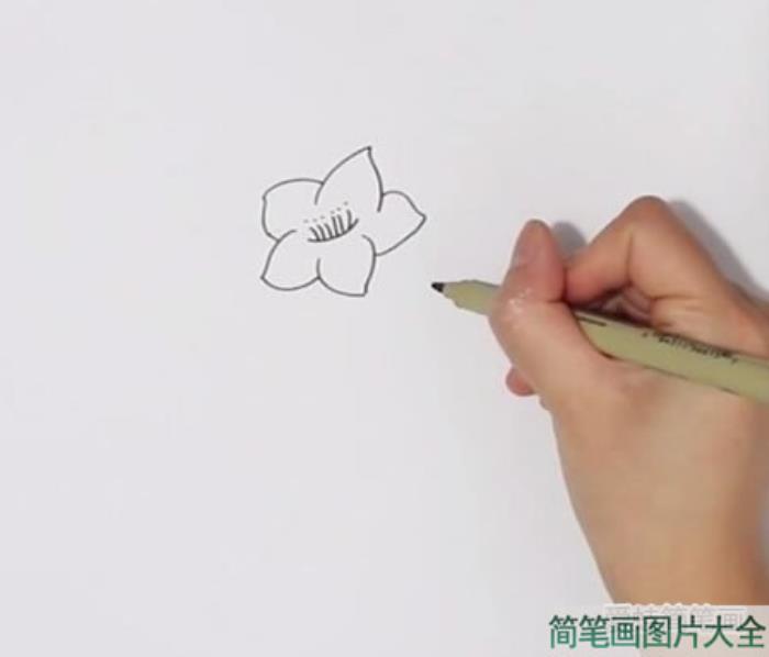 桃花简笔画