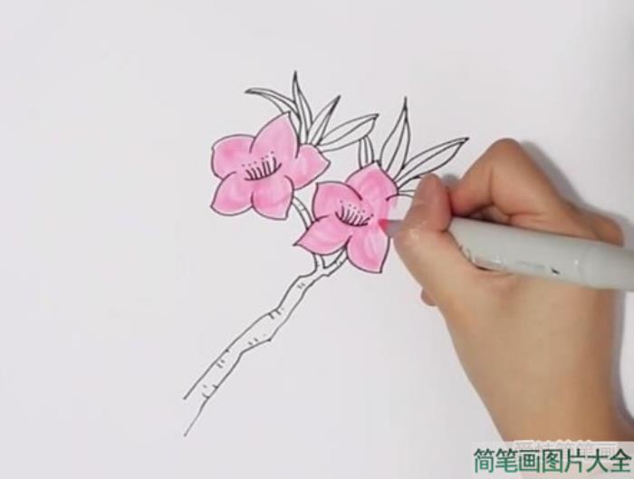 桃花简笔画  第3张