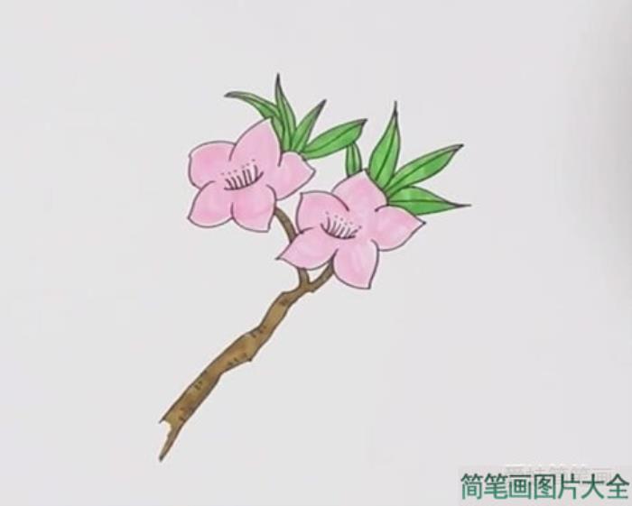 桃花简笔画  第4张