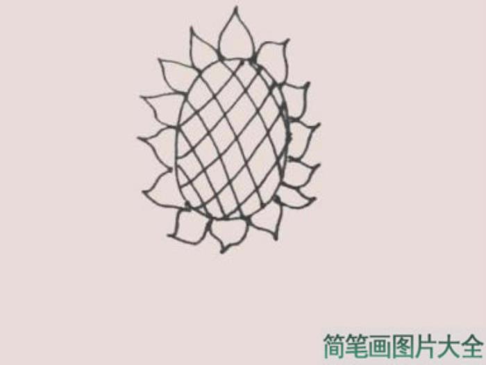 向日葵简笔画  第4张