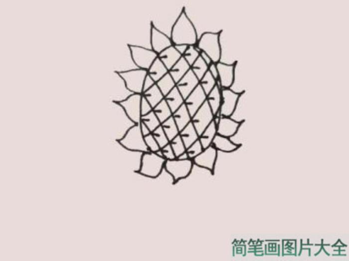 向日葵简笔画  第5张