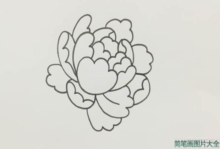 牡丹花简笔画  第3张