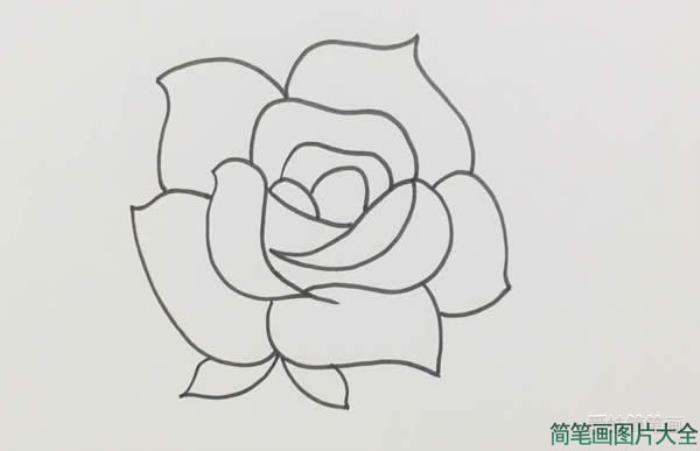 玫瑰花简笔画  第2张