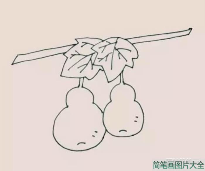 葫芦简笔画  第5张