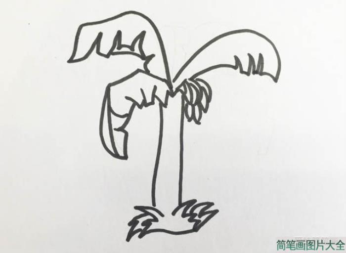 香蕉树简笔画  第2张