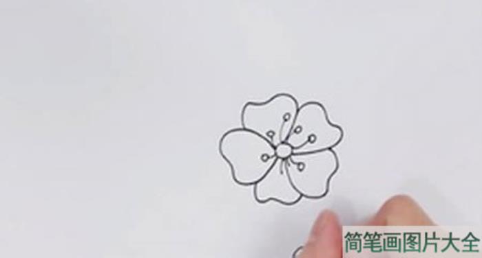 樱花简笔画  第1张