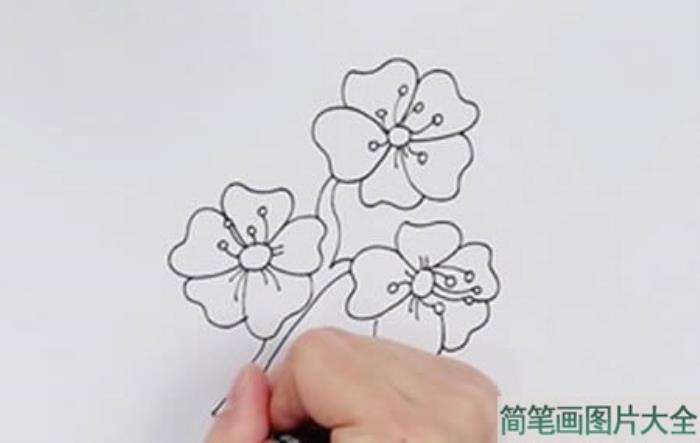 樱花简笔画  第2张