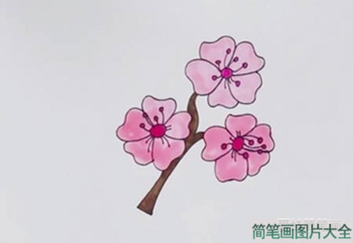 樱花简笔画  第3张