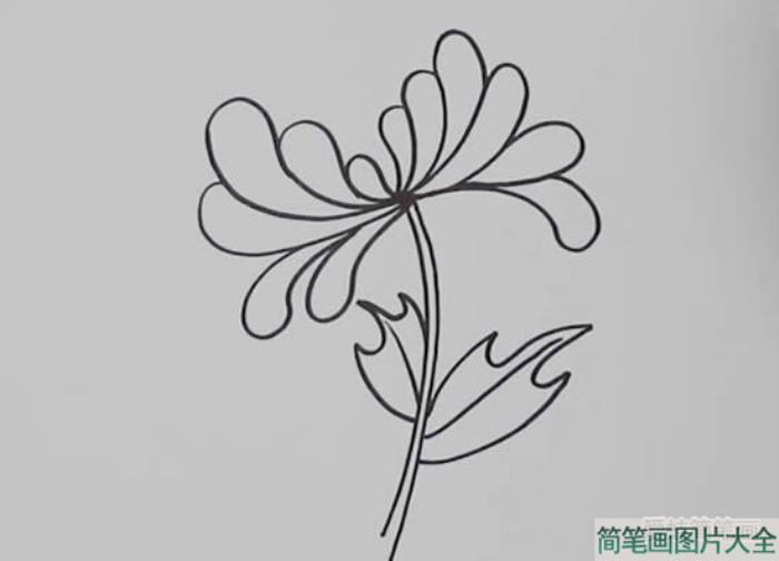 黄菊花怎么画简笔画  第2张