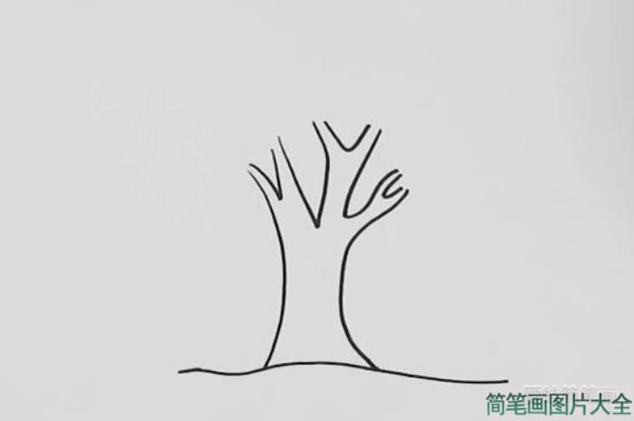 彩色大树怎么画简笔画  第1张