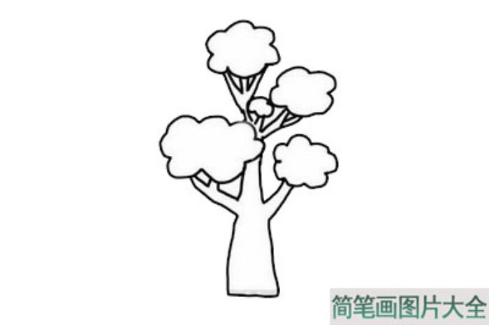 大树简笔画  第3张