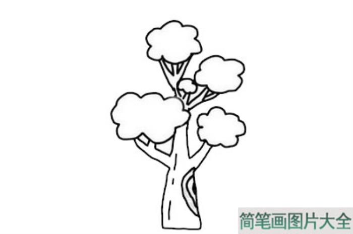 大树简笔画  第4张