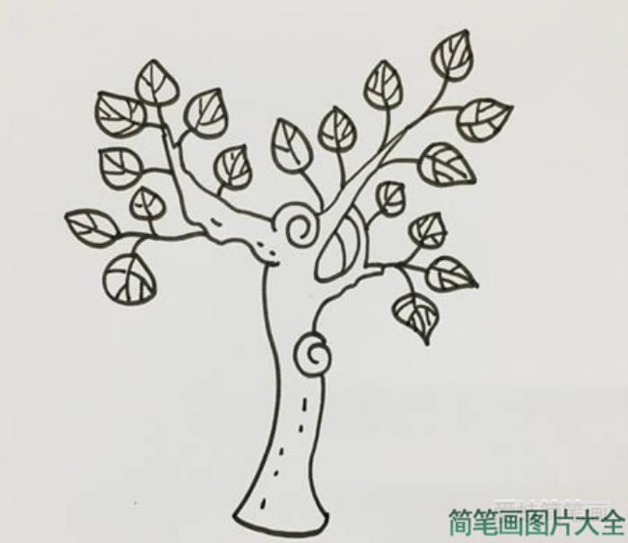 桑树简笔画  第2张