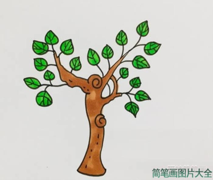 桑树简笔画  第4张