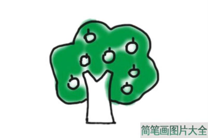 苹果树简笔画  第5张