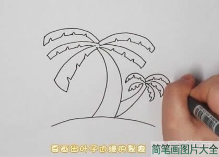 椰子树简笔画