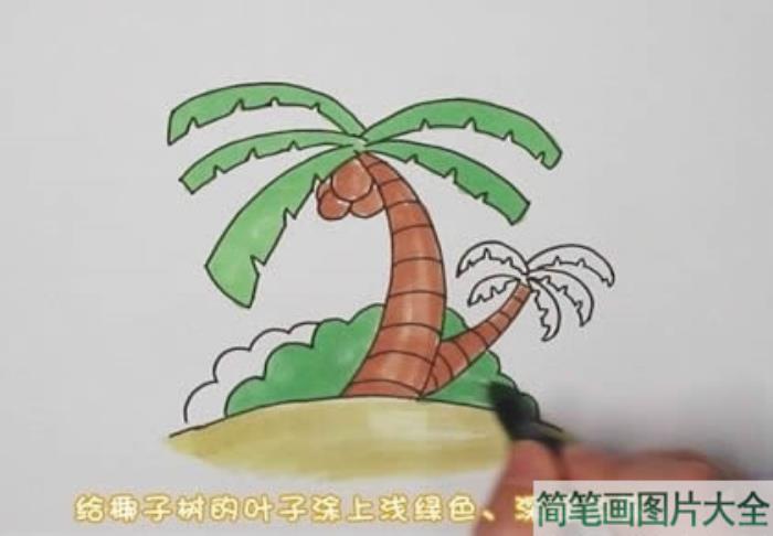 椰子树简笔画  第3张