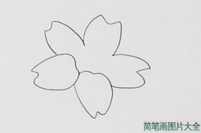 迎春花简笔画