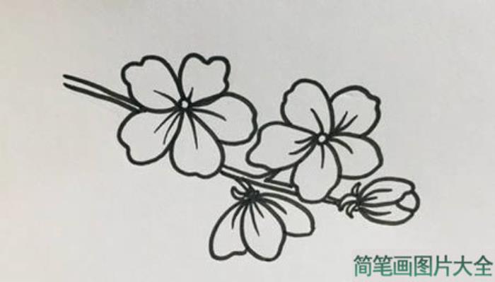 桃花简笔画怎么画简单又漂亮  第2张