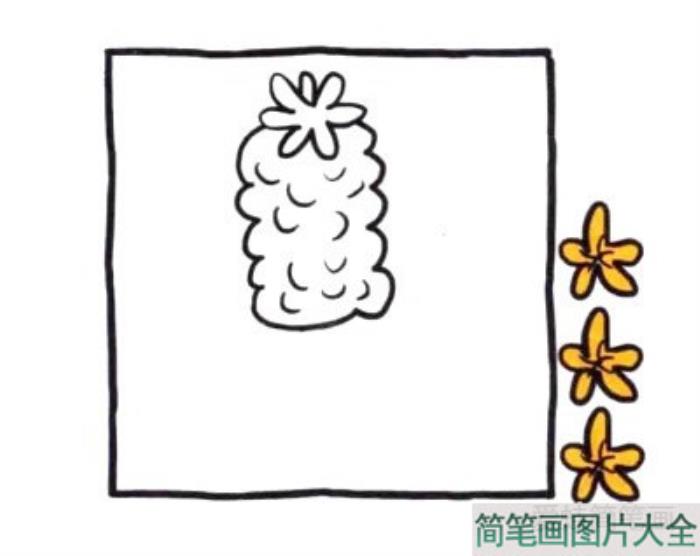 四步画出风信子简笔画  第3张