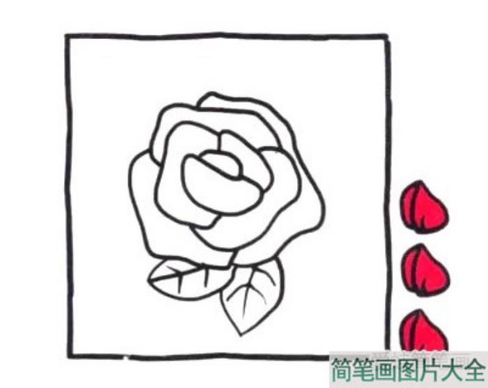 四步画出玫瑰花简笔画  第3张