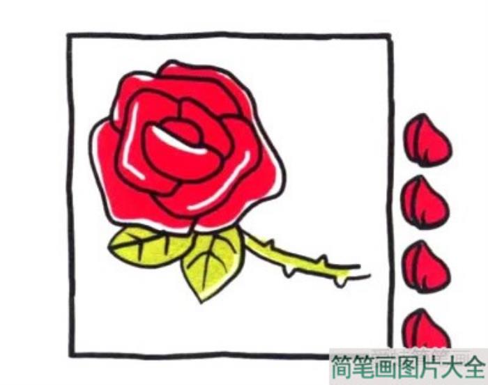 四步画出玫瑰花简笔画  第4张