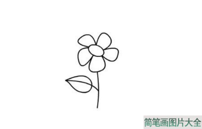 简单的小花简笔画  第3张