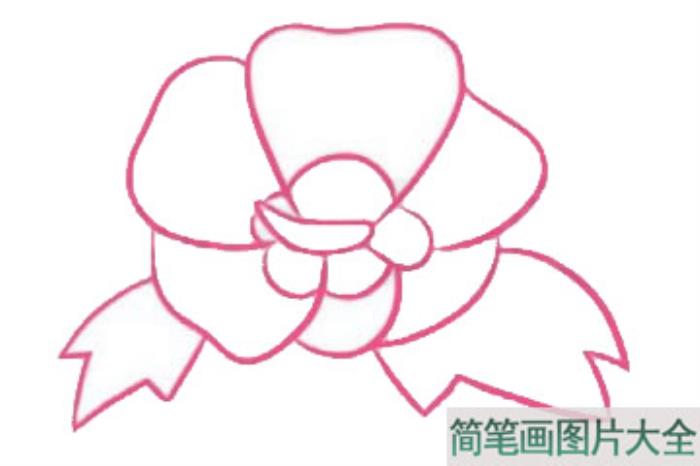 木槿花简笔画  第2张