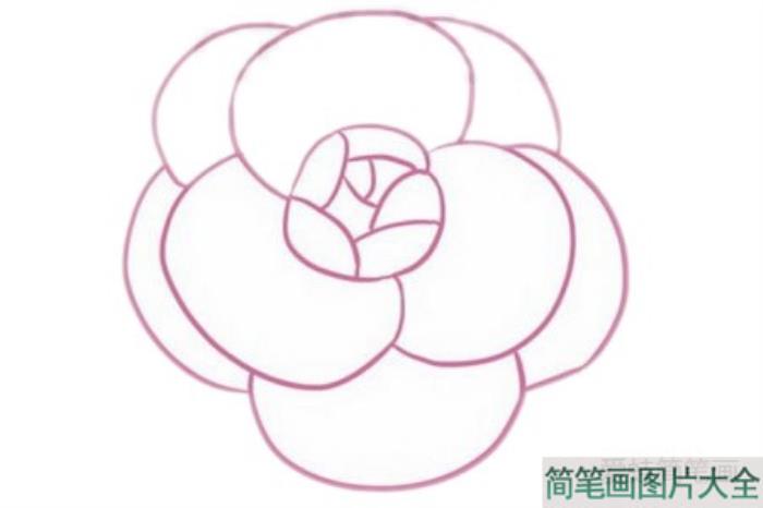 山茶花简笔画  第3张