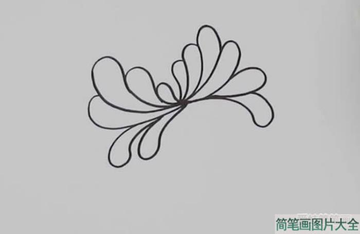 黄菊花怎么画简笔画