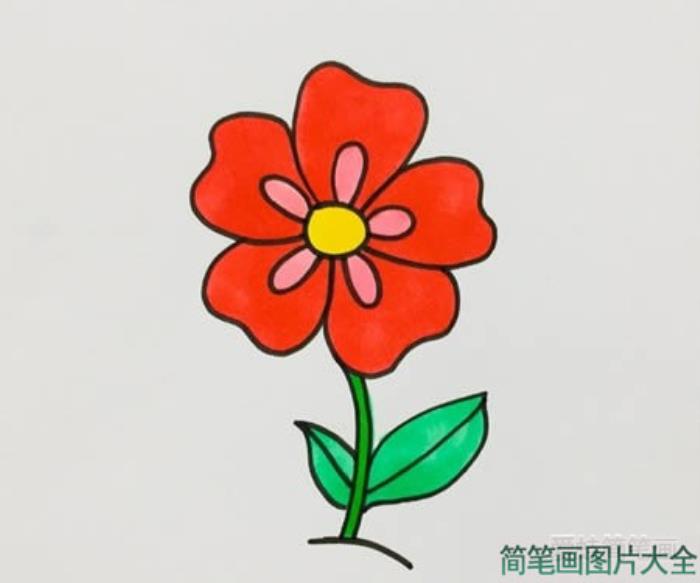 五瓣花简笔画  第4张