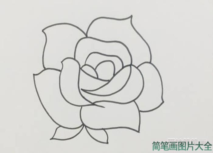 玫瑰花简笔画  第2张