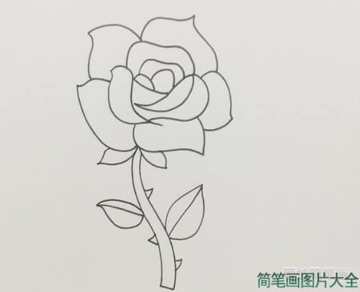 玫瑰花简笔画  第3张