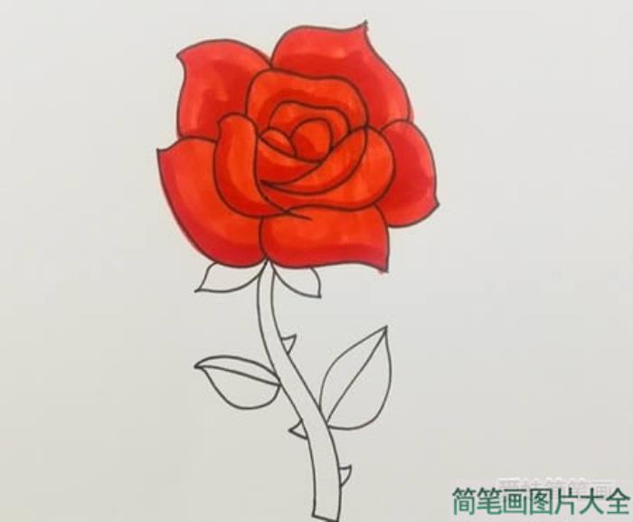 玫瑰花简笔画  第4张