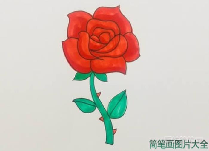 玫瑰花简笔画  第5张