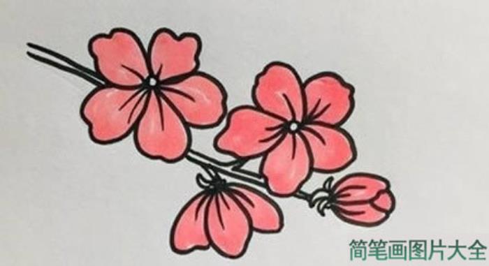 桃花简笔画怎么画简单又漂亮  第4张