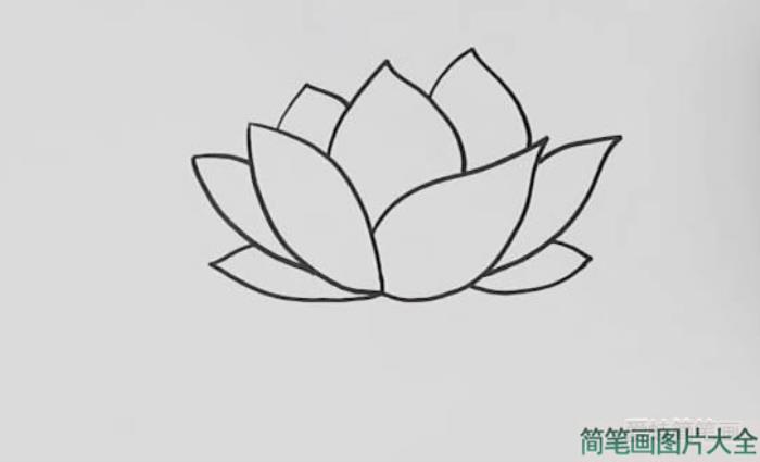 荷花怎么画简笔画