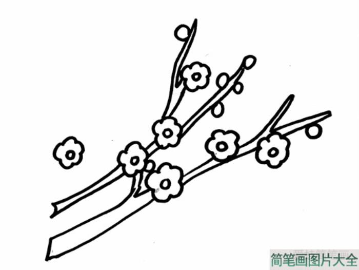 梅花怎么画漂亮又简单  第2张