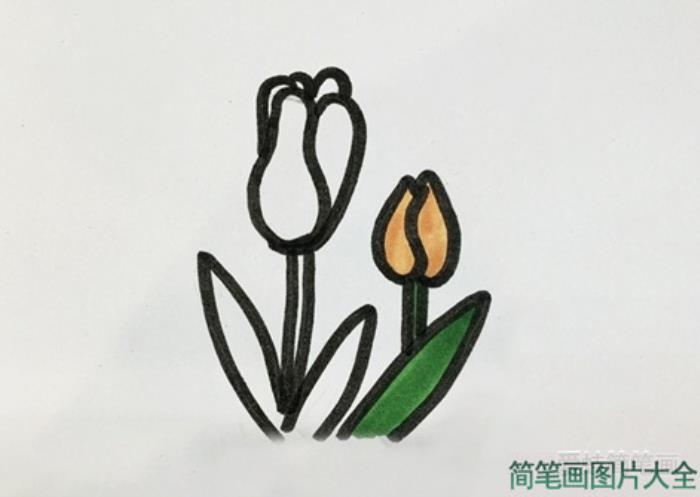 好看的花瓣怎么画？  第4张