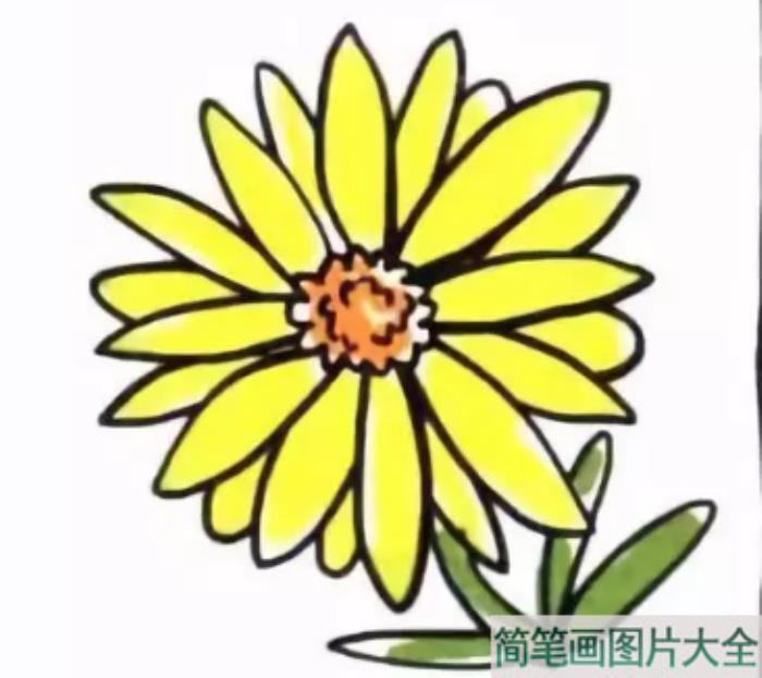 菊花教程三  第4张