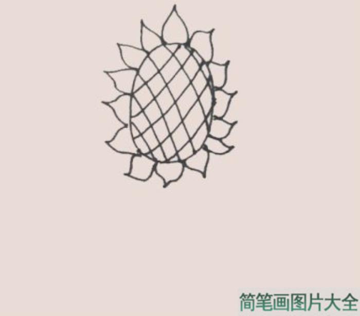 向日葵简笔画  第4张