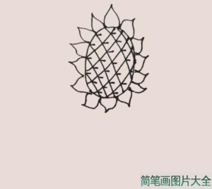 向日葵简笔画  第5张