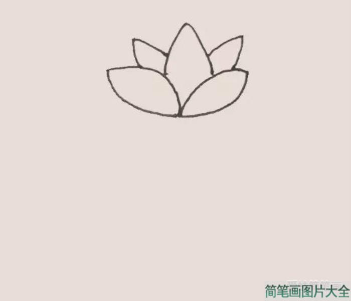 荷花简笔画  第2张