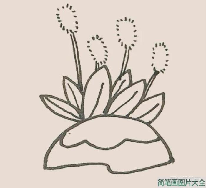 简笔画狗尾巴草  第6张