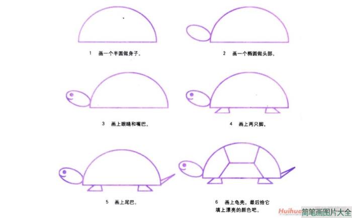 乌龟简笔画  第1张