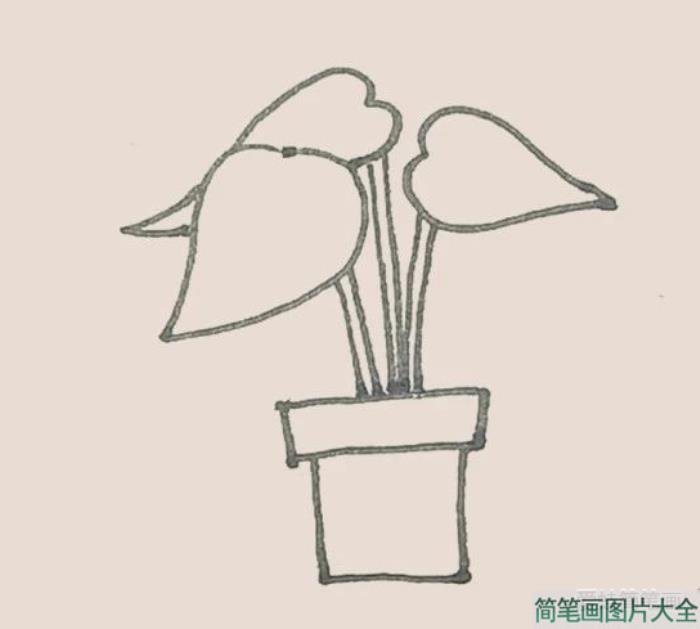 简笔画之滴水观音  第4张